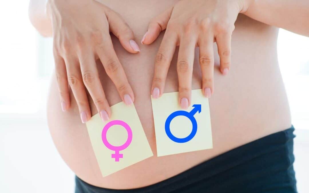 Connaitre le sexe de bébé dès le début de la grossesse